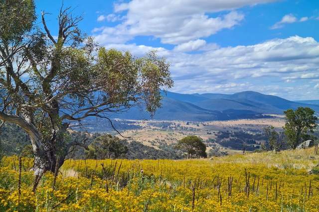 Lake Jindabyne beneath the Snowy Mountains