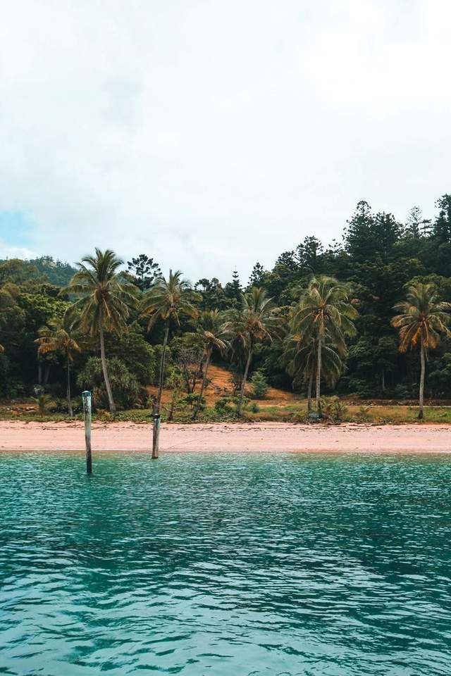 Yachts anchored in a sheltered bay near Airlie Beach