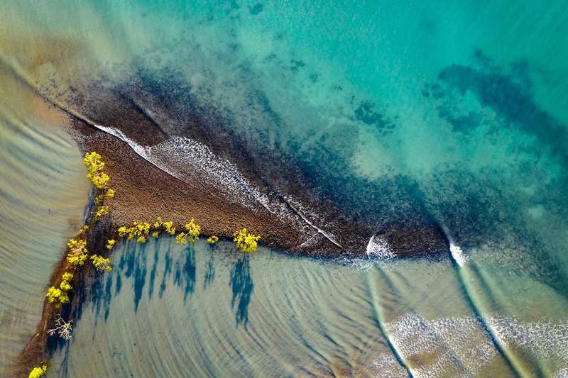 Palm-lined Four Mile Beach near Port Douglas, Queensland