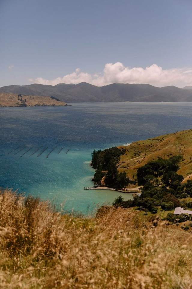 Golden sand and clear water on the Abel Tasman coast near Nelson