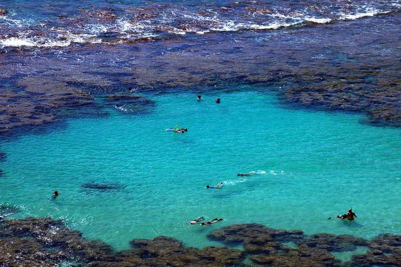 A snorkeller floating over a coral reef in clear blue water